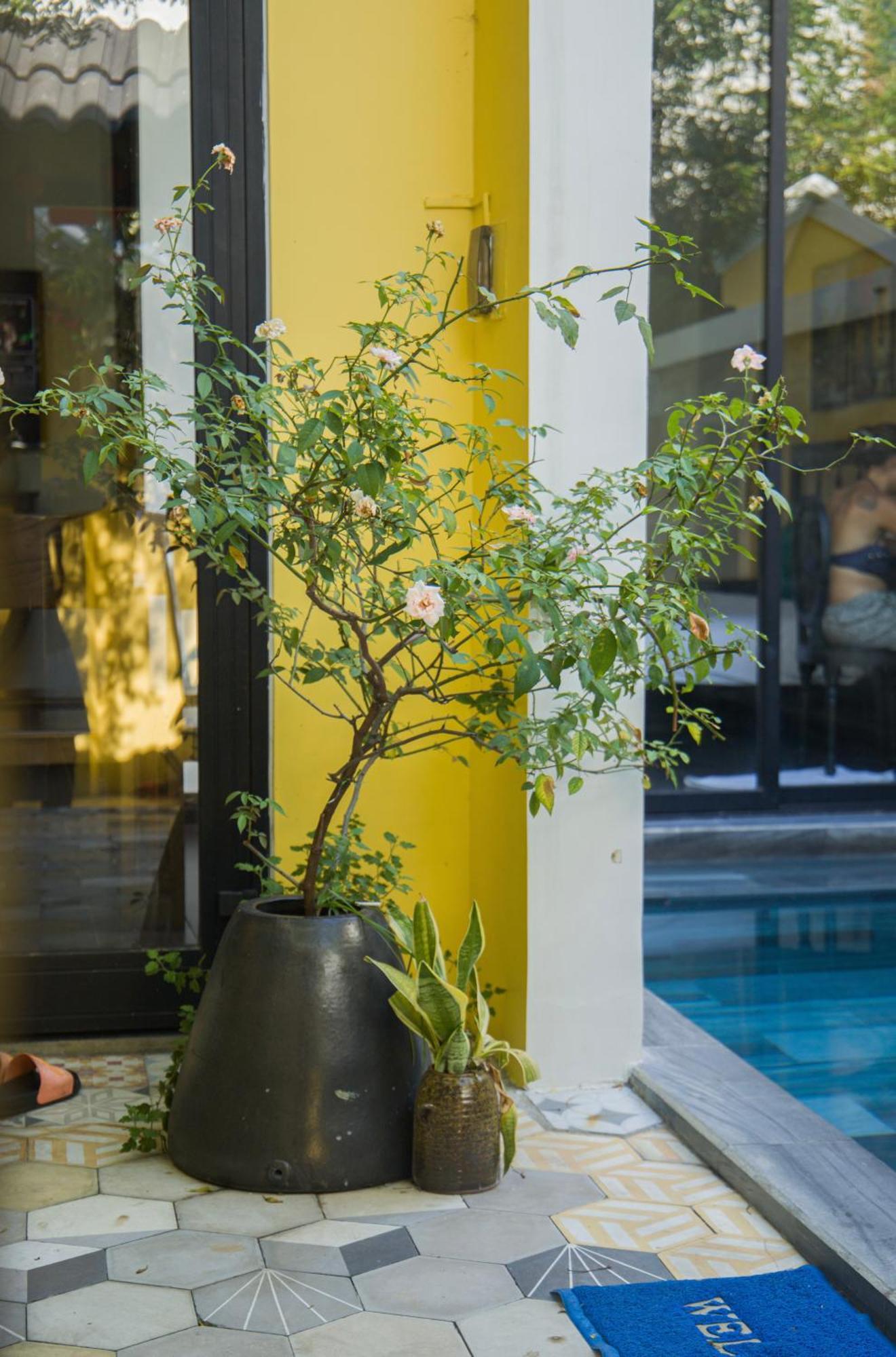 Rosie Villa Hoi An Eksteriør bilde
