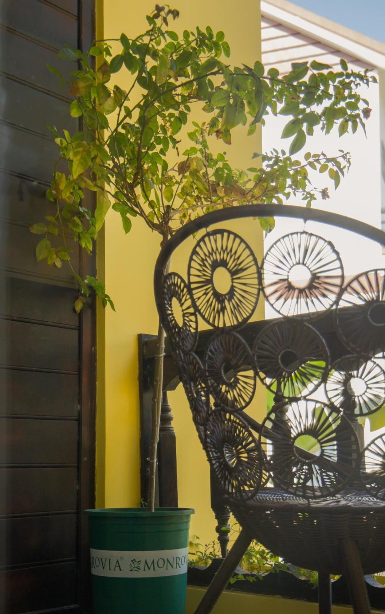 Hoi An 2Br Private Pool Villa - Walk To Old Town Eksteriør bilde