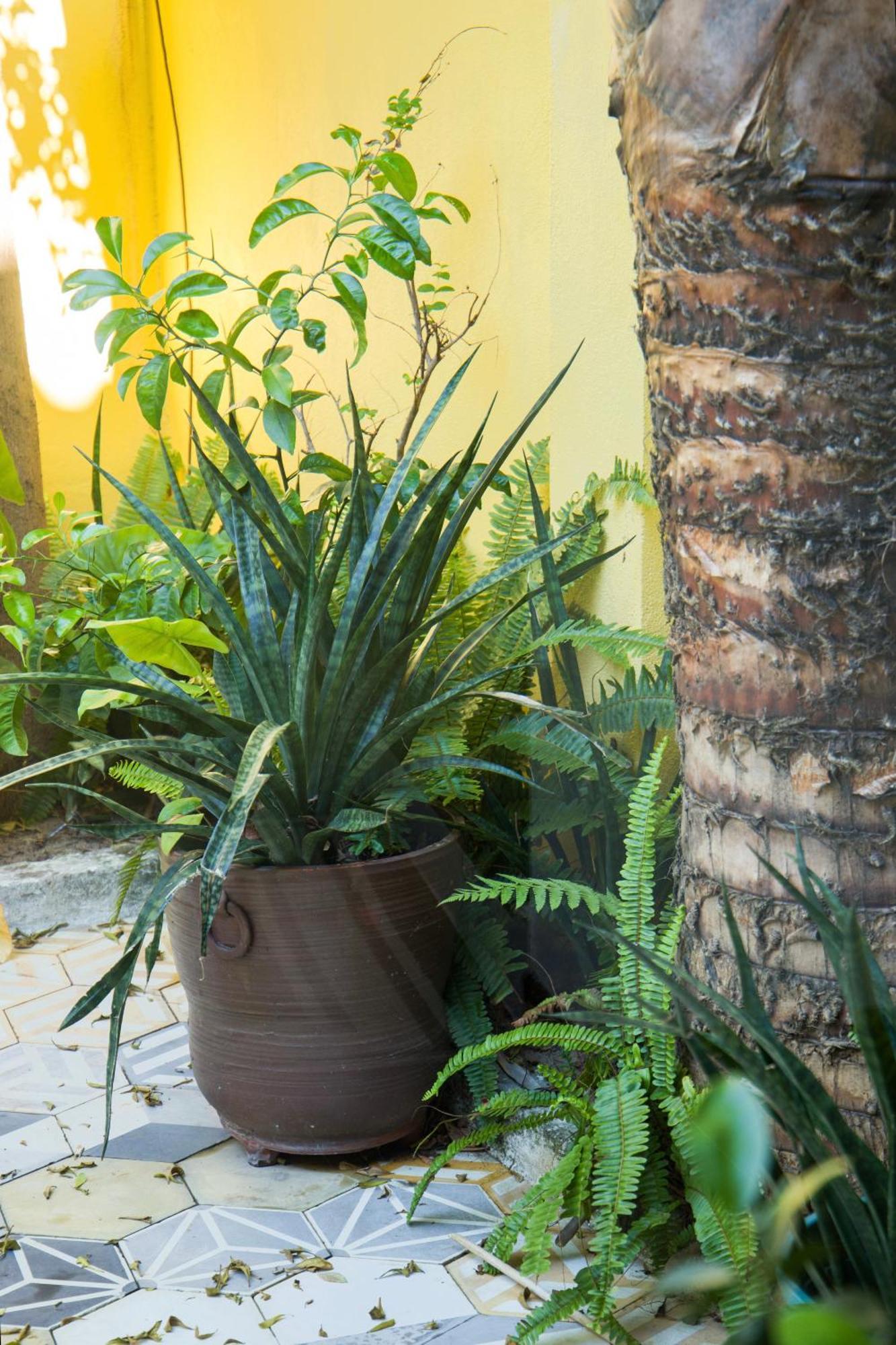 Rosie Villa Hoi An Eksteriør bilde